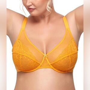HSIA Enchante Lace Minimizer Bra